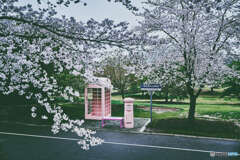 ピンクの郵便ポストと電話ボックス