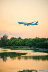 夕方のlanding