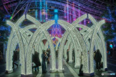 博多駅イルミネーション