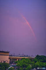 雨上がりのRAINBOW