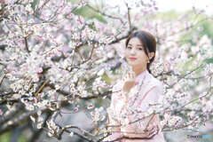 春暖花开