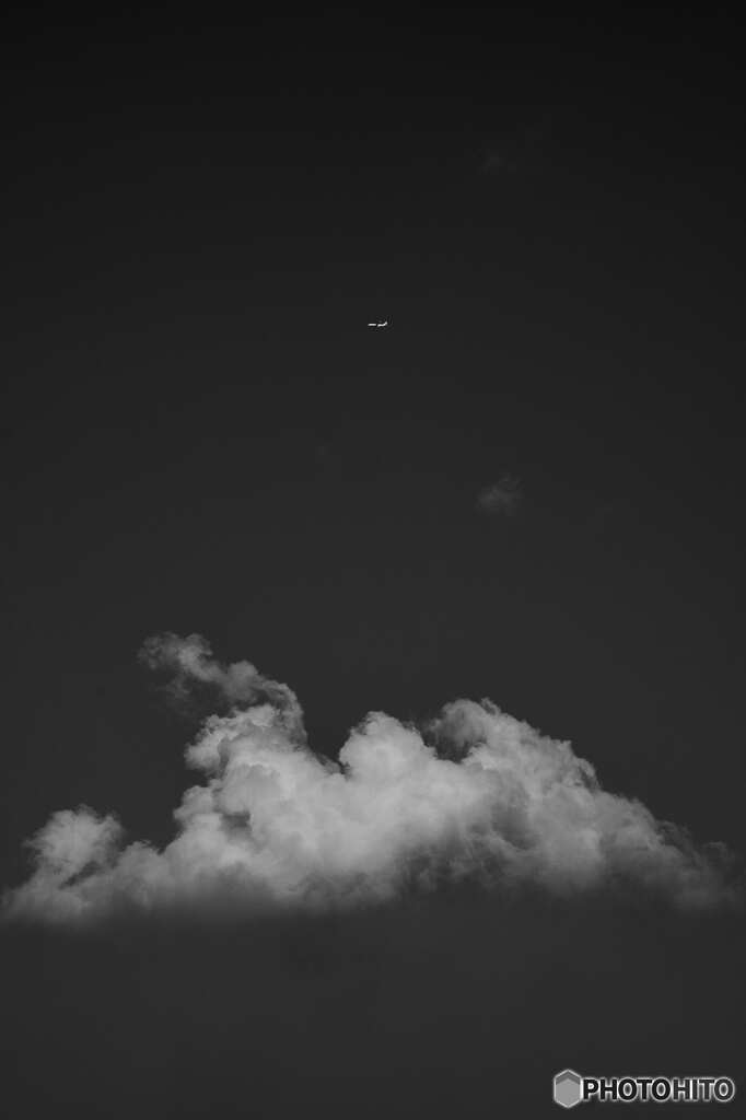 飛行機