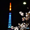 東京タワーと夜桜