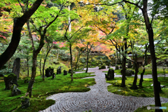 お寺の庭園