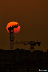 夕日