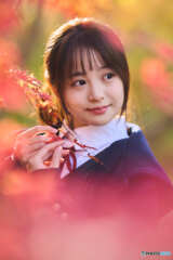 紅葉に囲まれて