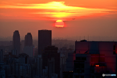 夕方のフライト