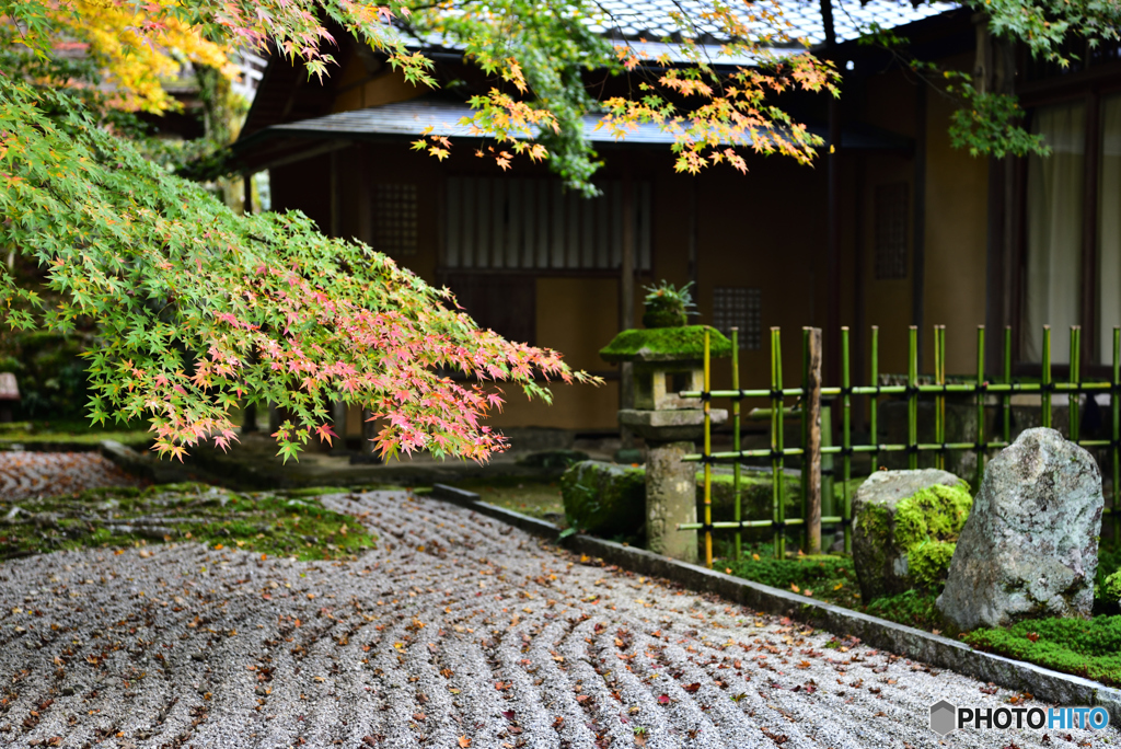 お寺のお庭