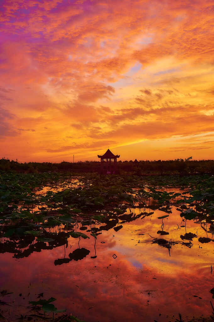 夕焼けリフレクション