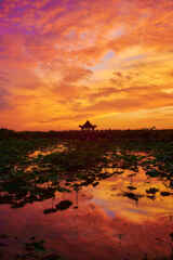 夕焼けリフレクション