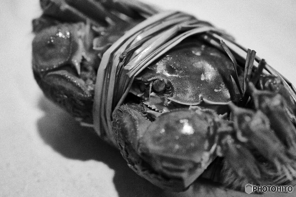 上海ガニの季節