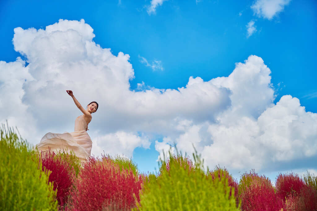 夏空のような秋空