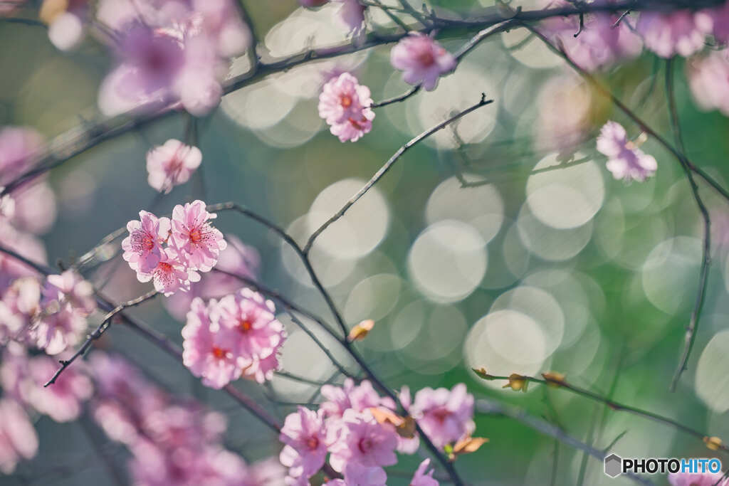 春の陽気