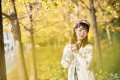 晩秋を感じて