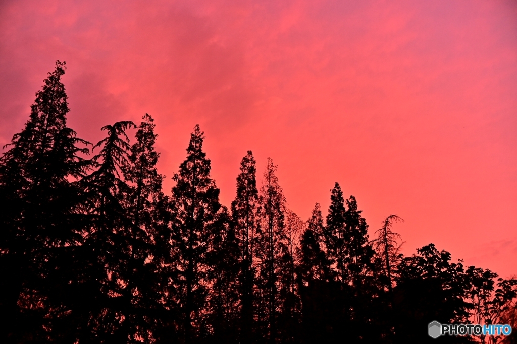 紅い空