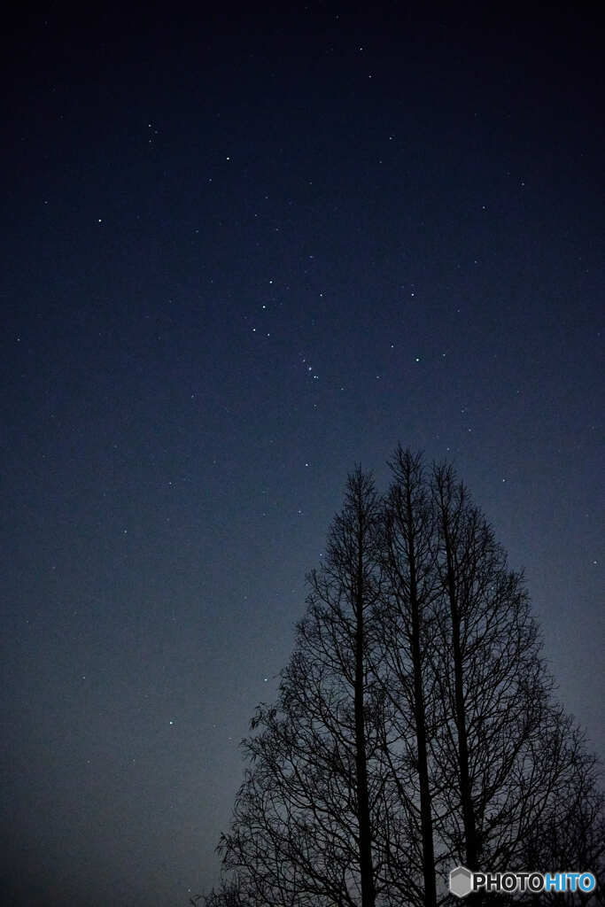 田舎の夜空