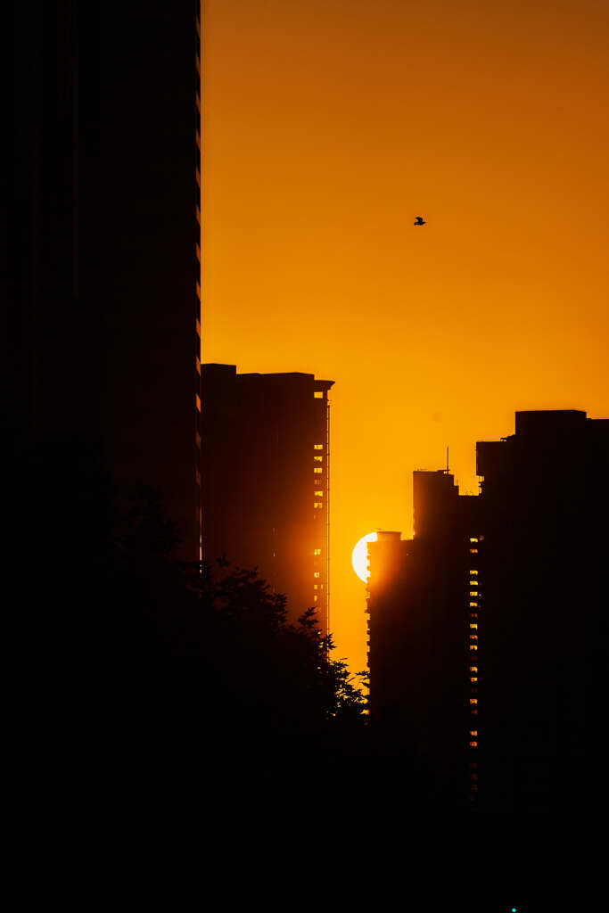 夕方の空