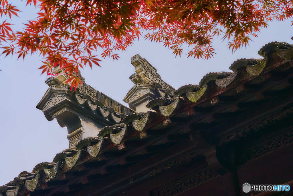 古都の紅葉