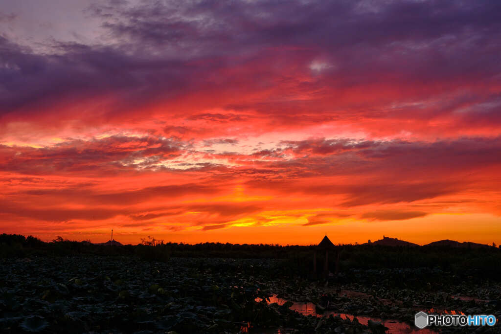 夕焼け