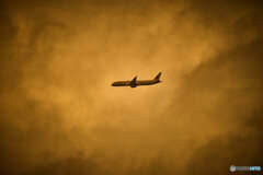Airplane