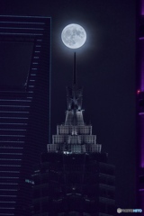 月夜