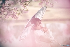桜色