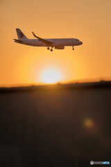 夕刻のlanding