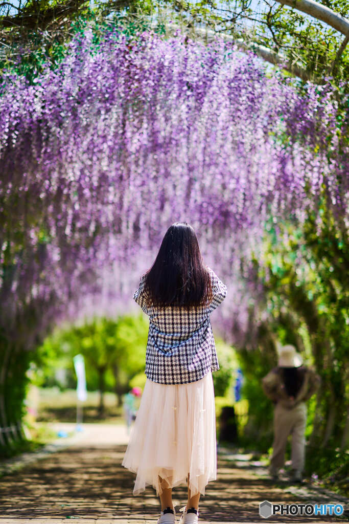 春旅行