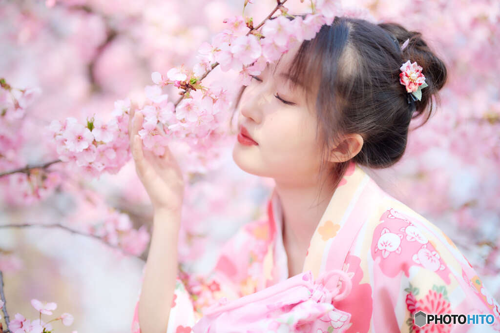 桜の季節