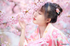 桜の季節