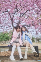 春を楽しむ