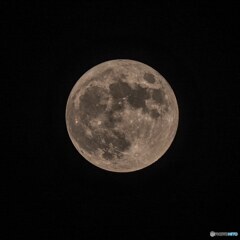 中秋の名月