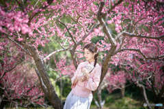 春暖花开