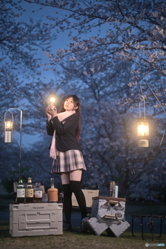 夜桜