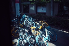 バス停と山積みの自転車