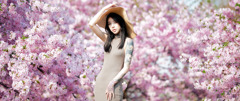 満開の桜