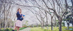 サクラが咲く頃