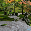 お寺の庭園