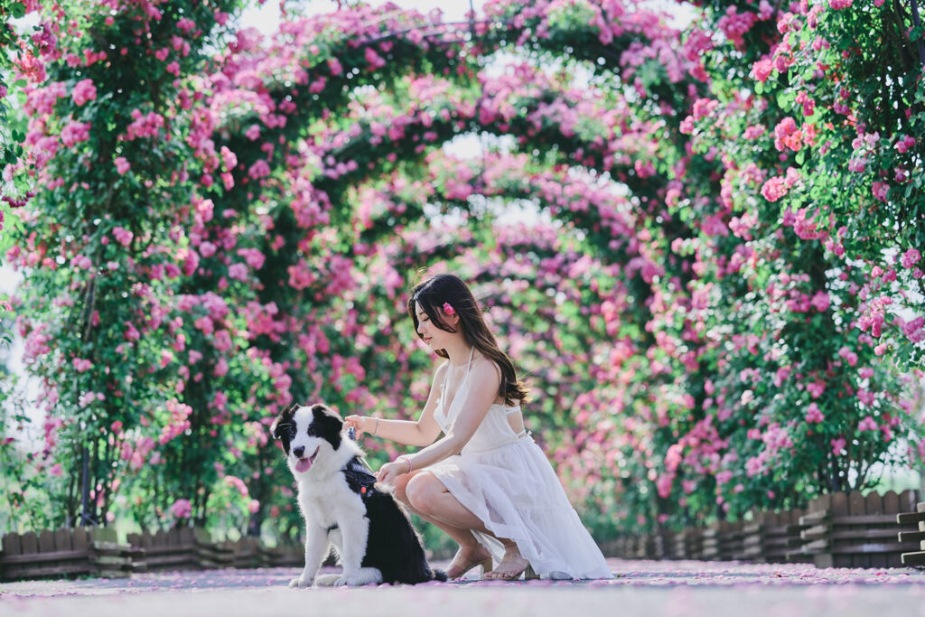 犬と美女と花のアーチ