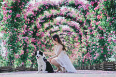 犬と美女と花のアーチ