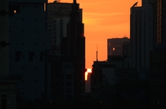 日没