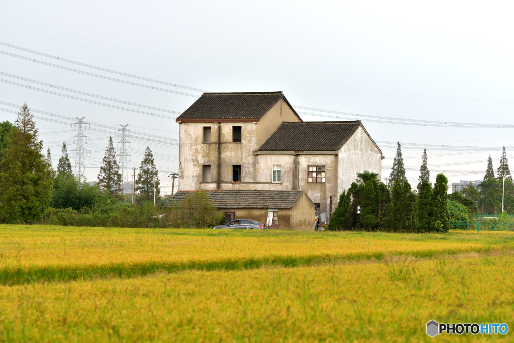 田園風景