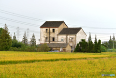 田園風景