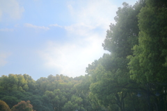 気持ちの良い一日