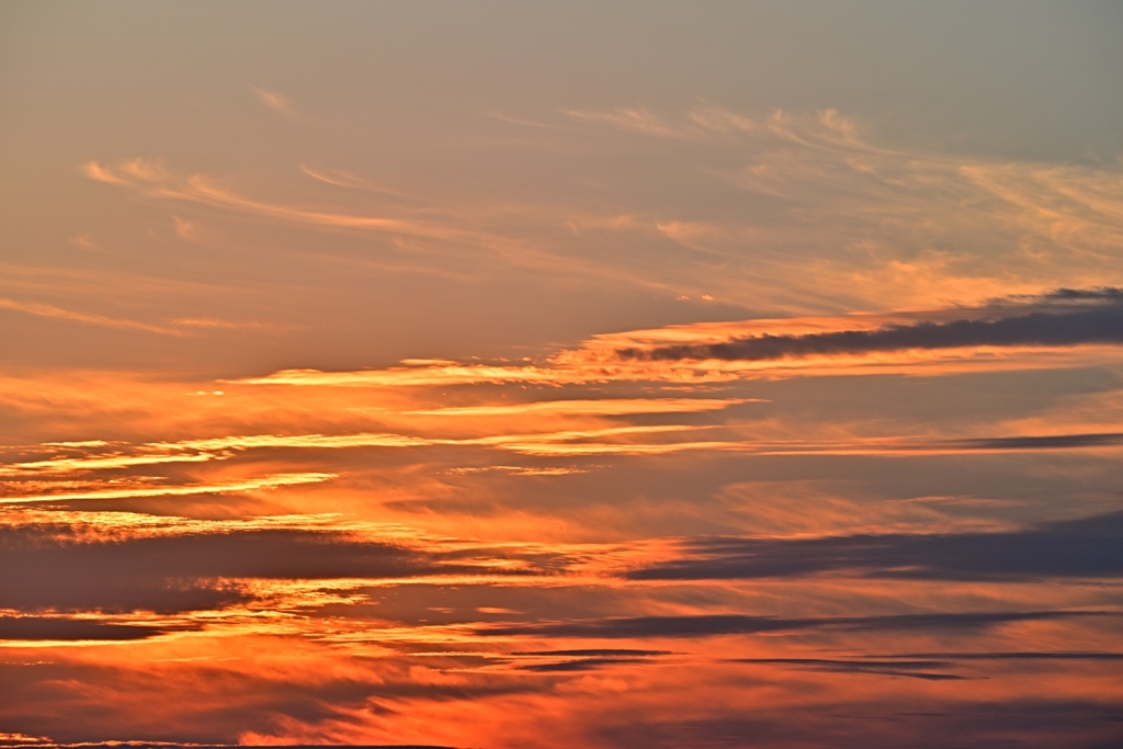 夕焼けの雲