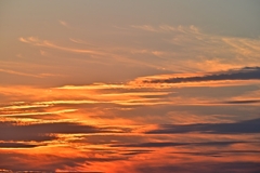夕焼けの雲