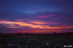 夕暮れ