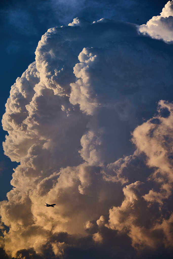 飛行機と入道雲
