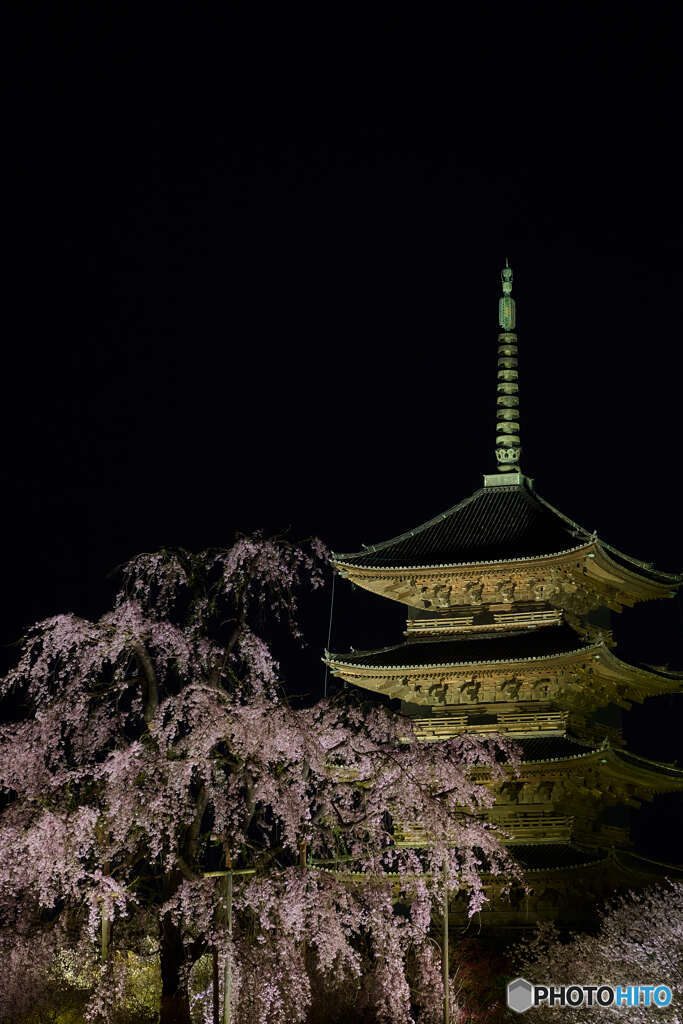東寺