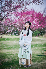 春模様